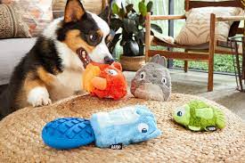 the 12 best dog toys according to our