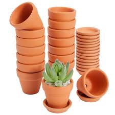 2 inch 16 pack small terracotta pots