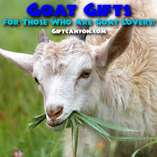 goat gifts for those who are goat