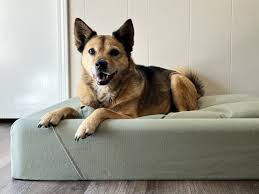 best dog beds for large and small dogs