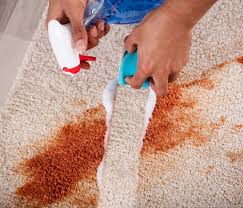 carpet cleaning company watertown ct