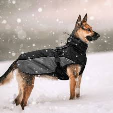 Large Dogs Winter Coat Warm Fleece