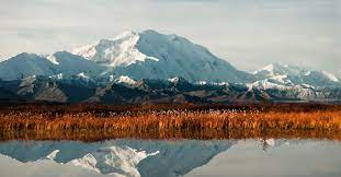 The scenery is telltale of this high latitude. Denali Explore Fairbanks Alaska