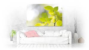 Nature Wall Art Paradise Canvas Prints