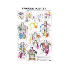 Trigger Point Charts 1 2