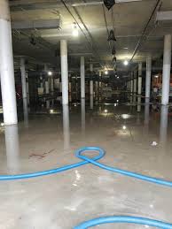 carpet cleaning water damage restoration