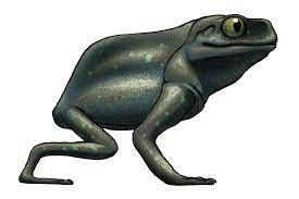 Lanky Frogget - The Amphiterra Project