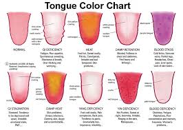 Tongue Colour Chart Different Regions In Tongue Heart And
