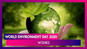 World environment day is an annual observance on 5th june. World Environment Day 2020 Wishes Whatsapp Messages Wed Quotes Gif Greetings To Send On June 5 Youtube
