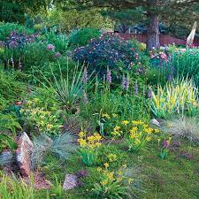 A Water Wise Garden That Wows