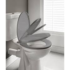 Grey Soft Close Toilet Seat Toilet