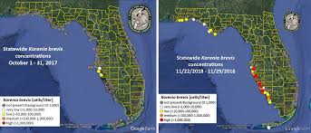 Understanding Floridas Red Tide Florida Sea Grant