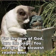 Image result for obsessed with reading books memes