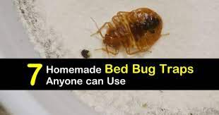 7 homemade bed bug traps anyone can use