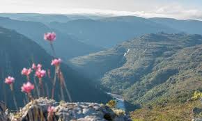 Montanhas, rios, cachoeiras e fauna exuberante: as belezas do Guartelá