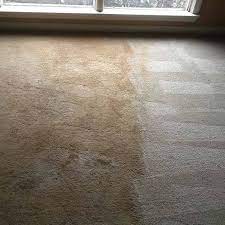 1 for carpet cleaning in maryville tn