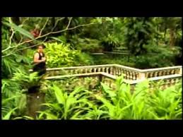 Its tropical rain forest setting provides a tranquil escape from the bustle of kuala lumpur and offers an engaging and educational experience for kids and adults alike. Kuala Lumpur Malaysia Butterfly Park Youtube