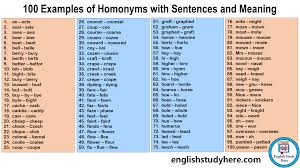 100 exles of nyms with sentences