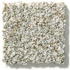 shaw long beach field texture carpet