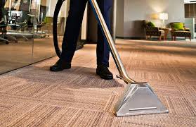 best professional carpet cleaner safe