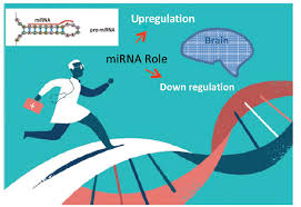 microRNA food ile ilgili görsel sonucu