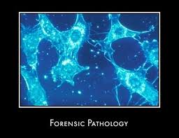 Forensic Pathologist Education
