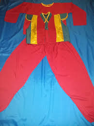 magic carpet iago costume aladdin