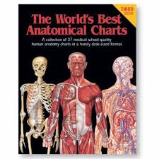 9780960373055 The Worlds Best Anatomical Charts A