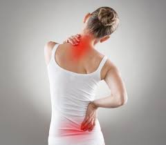 Bildresultat för fibro back pain