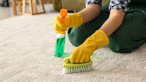 tips for removing mold from carpeting