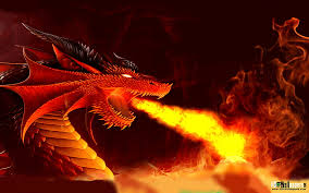 live fire live dragon hd wallpaper