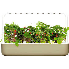 As long as you remember to water your device, your greens will continue to thrive. Customer Reviews Click Grow Smart Garden 9 Pod Beige Sg9s7us Best Buy