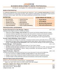 Best Business Development Manager Resume Template Business Development Executive