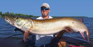 How To Catch Muskies By Reading Weather And Water