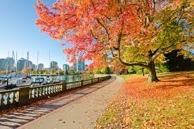 visit vancouver in 2023 travel tips