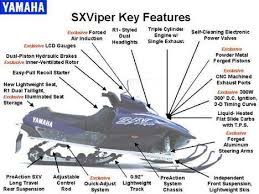 viper key features small jpg