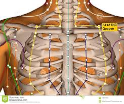 Acupuncture Point St12 Quepen Stomach Meridian Stock