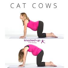 Cat/cow pose (marjaryasana/bitilasana) is a wonderful way to warm up the spine at any point on or off your mat. Pregnancy Stretches The Best Pregnancy Stretches To Relieve Aches