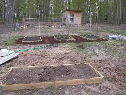 building raised bed vegetable gardens