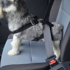 Car Seat Pet Dog Safety Harness For Dog