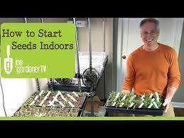 How I Start Seeds Indoors Tips