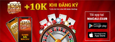 Quyền lợi Tải App 12fun Casino dành cho người chơi tại Sv6612fun Casino