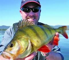 Jason Jeffrey Lake Bolac 6.5lb Rainbow trout caught on an Ecogear hardbodied lure. Photo courtesy Shane Jeffrey - 3b304312b7387de71ba49cb0f78722d8_Stev0112_3