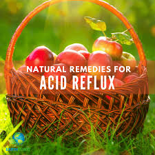 top 10 natural remes for acid reflux