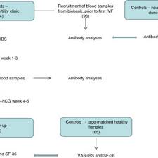 Flow Chart Over The Study Design Vas Ibs Visual Analogue