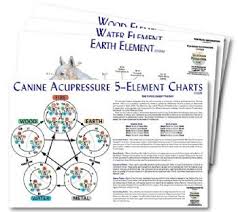 Canine 5 Element Chart Set Clinical Charts And Supplies