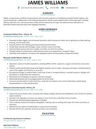 Resume Examples Nursing Assistant Resume Templates Design