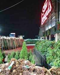 Stew leonard's is a chain of seven supermarkets in connecticut, new york, and new jersey, which ripley's believe it or not! Moda Realty On Instagram Christmas Trees Are Already Being Sold At Stew Leonards Can T Wait To Put One Up Nyc Real Estate Instagram Realty