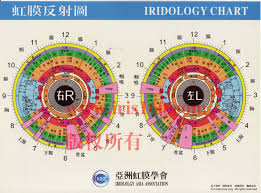 Chinese Eye Diagnosis Chart Iriscope Iridology Camera