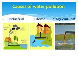 pdf causes of water pollution